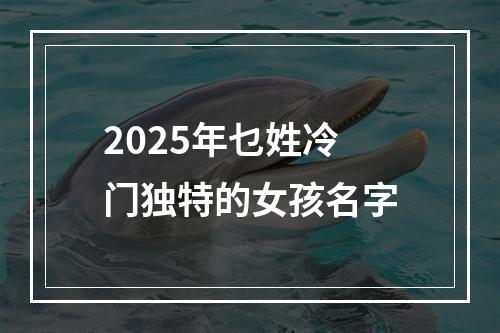 2025年乜姓冷门独特的女孩名字