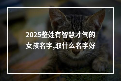 2025鉴姓有智慧才气的女孩名字,取什么名字好