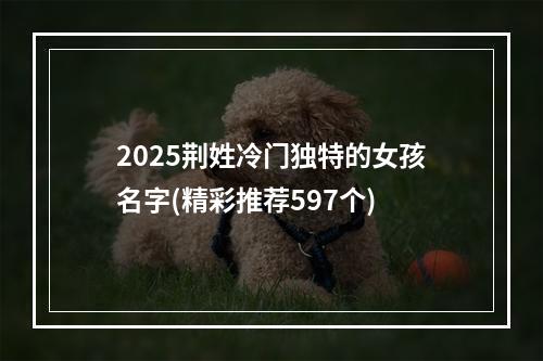 2025荆姓冷门独特的女孩名字(精彩推荐597个)
