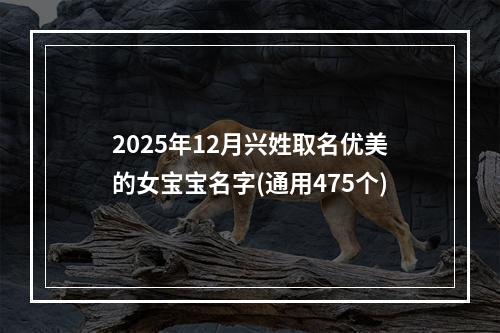 2025年12月兴姓取名优美的女宝宝名字(通用475个)