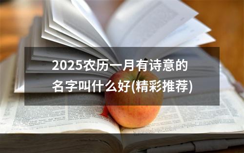 2025农历一月有诗意的名字叫什么好(精彩推荐)