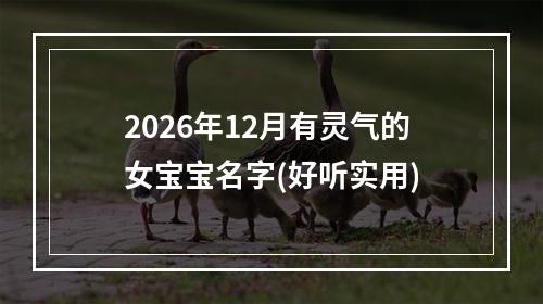 2026年12月有灵气的女宝宝名字(好听实用)