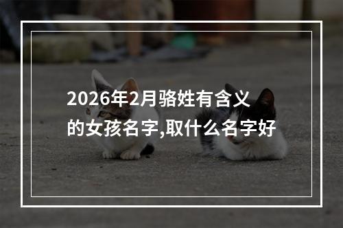 2026年2月骆姓有含义的女孩名字,取什么名字好