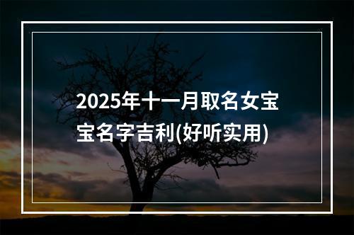 2025年十一月取名女宝宝名字吉利(好听实用)