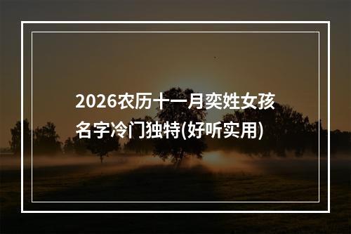 2026农历十一月奕姓女孩名字冷门独特(好听实用)