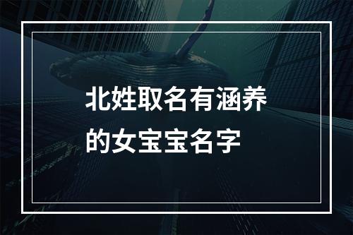 北姓取名有涵养的女宝宝名字