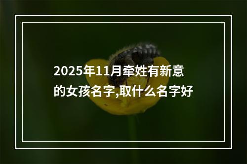 2025年11月牵姓有新意的女孩名字,取什么名字好
