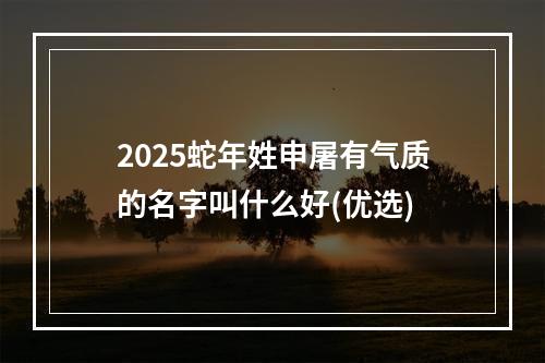2025蛇年姓申屠有气质的名字叫什么好(优选)
