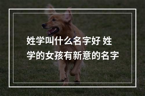 姓学叫什么名字好 姓学的女孩有新意的名字