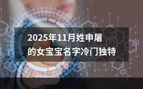 2025年11月姓申屠的女宝宝名字冷门独特