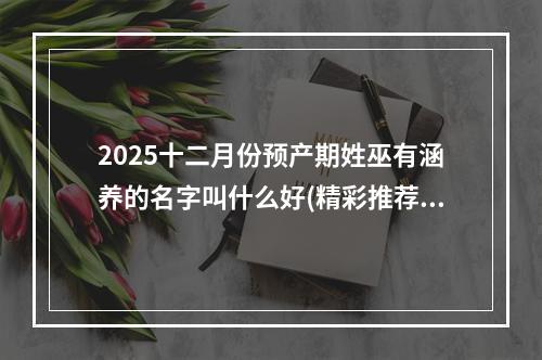 2025十二月份预产期姓巫有涵养的名字叫什么好(精彩推荐)