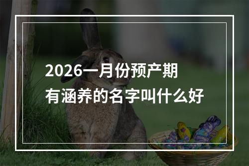 2026一月份预产期有涵养的名字叫什么好