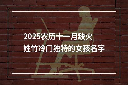 2025农历十一月缺火姓竹冷门独特的女孩名字