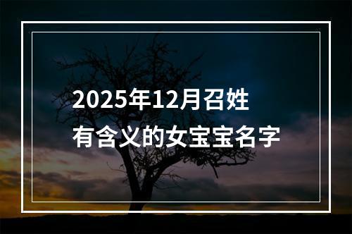 2025年12月召姓有含义的女宝宝名字