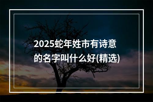 2025蛇年姓市有诗意的名字叫什么好(精选)