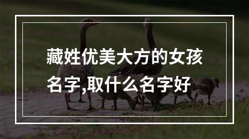 藏姓优美大方的女孩名字,取什么名字好