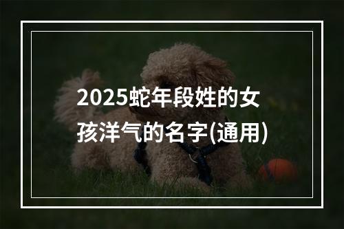 2025蛇年段姓的女孩洋气的名字(通用)