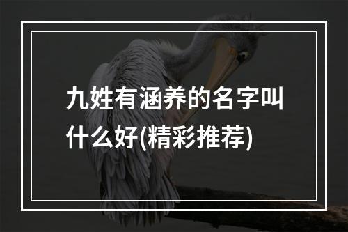 九姓有涵养的名字叫什么好(精彩推荐)