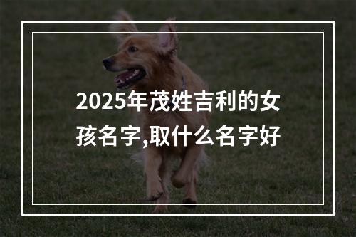 2025年茂姓吉利的女孩名字,取什么名字好