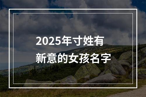 2025年寸姓有新意的女孩名字