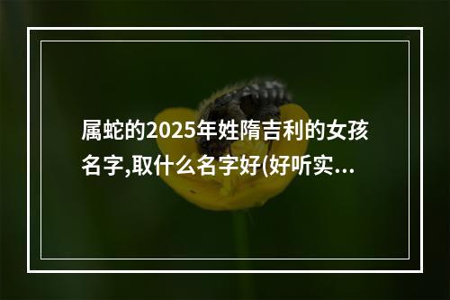 属蛇的2025年姓隋吉利的女孩名字,取什么名字好(好听实用)