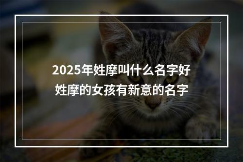 2025年姓摩叫什么名字好 姓摩的女孩有新意的名字