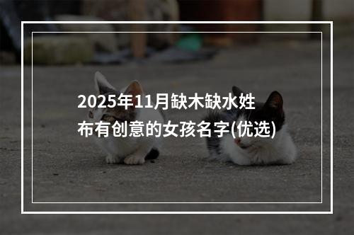 2025年11月缺木缺水姓布有创意的女孩名字(优选)