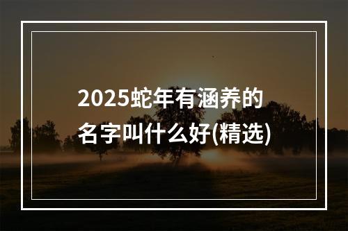 2025蛇年有涵养的名字叫什么好(精选)