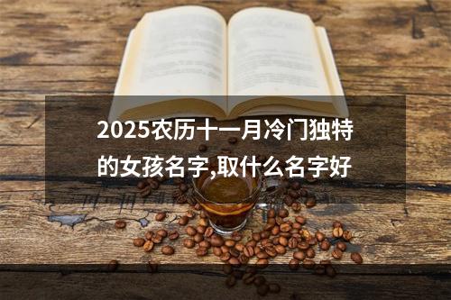 2025农历十一月冷门独特的女孩名字,取什么名字好