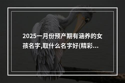 2025一月份预产期有涵养的女孩名字,取什么名字好(精彩推荐)