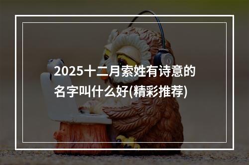 2025十二月索姓有诗意的名字叫什么好(精彩推荐)