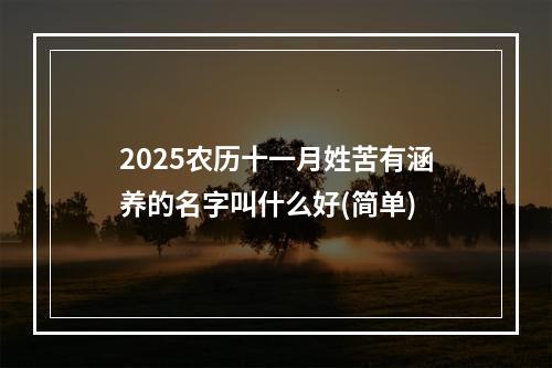 2025农历十一月姓苦有涵养的名字叫什么好(简单)