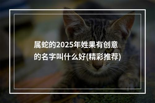属蛇的2025年姓果有创意的名字叫什么好(精彩推荐)