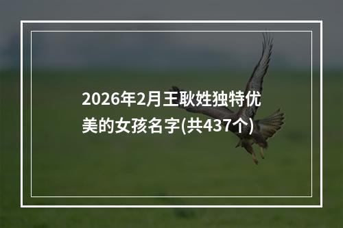 2026年2月王耿姓独特优美的女孩名字(共437个)