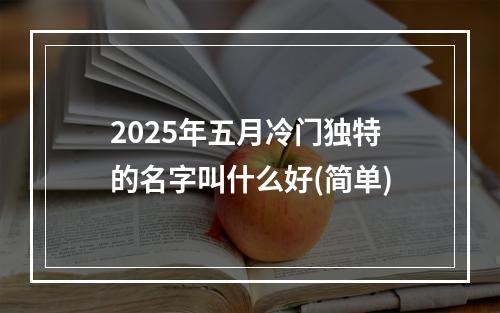 2025年五月冷门独特的名字叫什么好(简单)