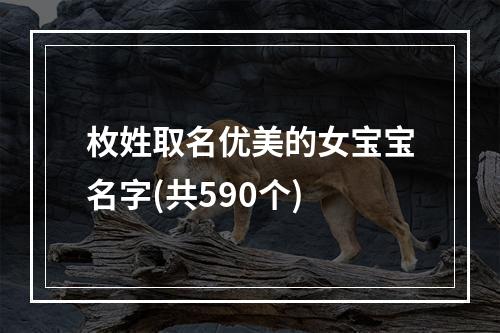 枚姓取名优美的女宝宝名字(共590个)