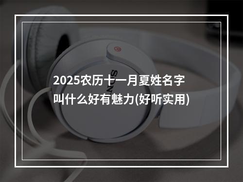 2025农历十一月夏姓名字叫什么好有魅力(好听实用)