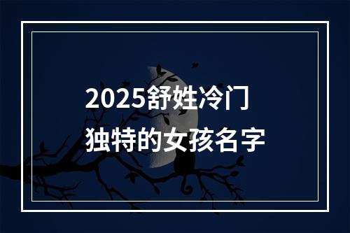 2025舒姓冷门独特的女孩名字