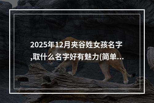 2025年12月夹谷姓女孩名字,取什么名字好有魅力(简单)