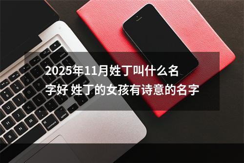 2025年11月姓丁叫什么名字好 姓丁的女孩有诗意的名字
