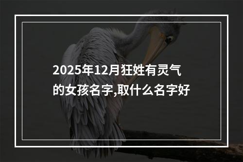 2025年12月狂姓有灵气的女孩名字,取什么名字好