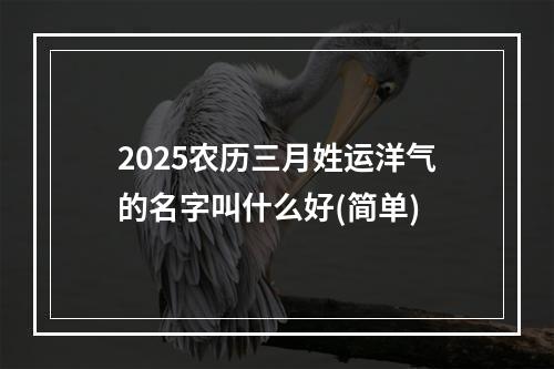 2025农历三月姓运洋气的名字叫什么好(简单)