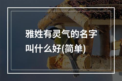 雅姓有灵气的名字叫什么好(简单)