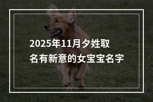 2025年11月夕姓取名有新意的女宝宝名字
