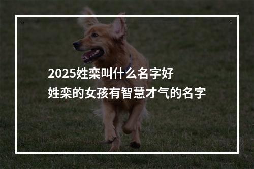 2025姓栾叫什么名字好 姓栾的女孩有智慧才气的名字