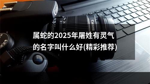 属蛇的2025年屠姓有灵气的名字叫什么好(精彩推荐)