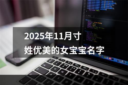 2025年11月寸姓优美的女宝宝名字
