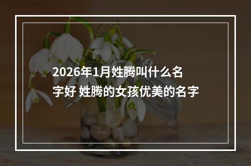 2026年1月姓腾叫什么名字好 姓腾的女孩优美的名字
