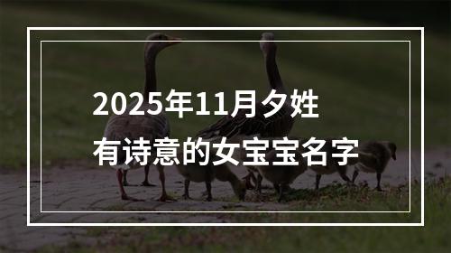 2025年11月夕姓有诗意的女宝宝名字