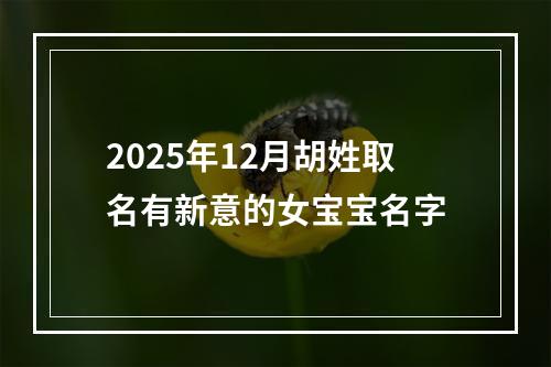 2025年12月胡姓取名有新意的女宝宝名字